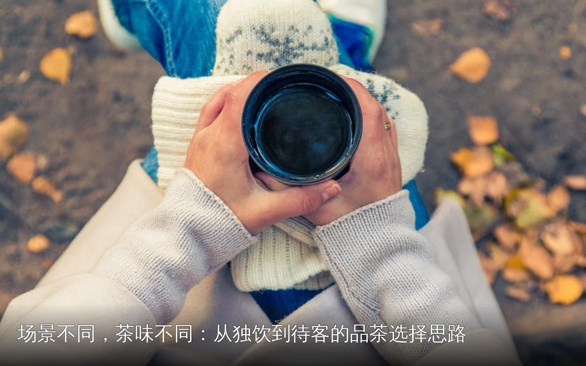 场景不同，茶味不同：从独饮到待客的品茶选择思路